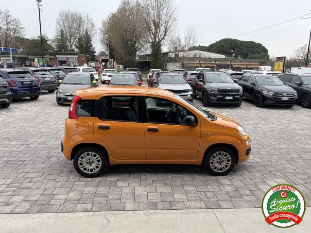 FIAT Panda 1.2 Easy ANCHE PER NEOPATENTATI