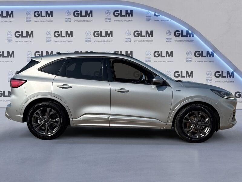 Ford Kuga Kuga 1.5 EcoBlue 120 CV 2WD ST-Line