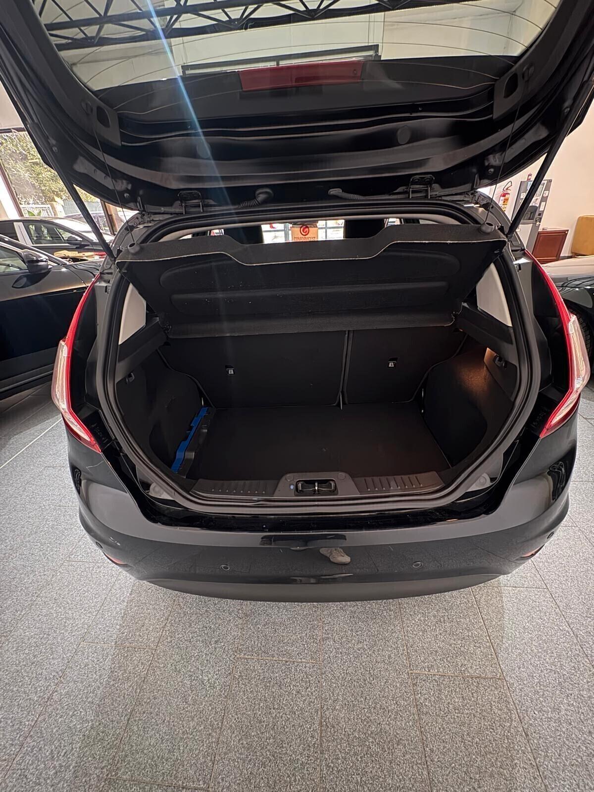 Ford Fiesta 1.4 5 porte Bz.- GPL Black & White Edition