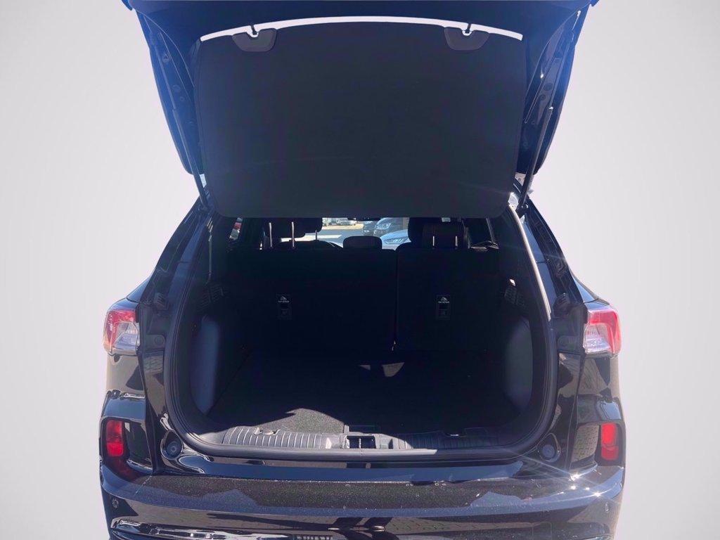 FORD Kuga 1.5 EcoBlue 120 CV aut. 2WD ST-Line del 2022