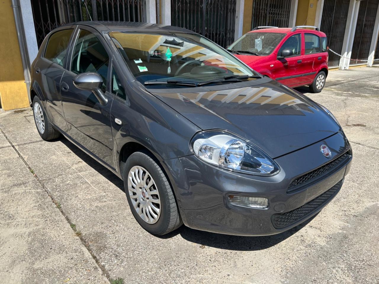 Fiat Punto 1.2 8V 5 porte Street NEOPATENTATI 2017!!