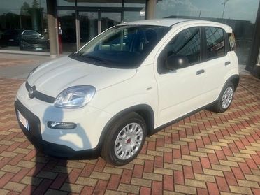 FIAT Panda 1.0 FireFly S&S Hybrid (NOLEGGIO)