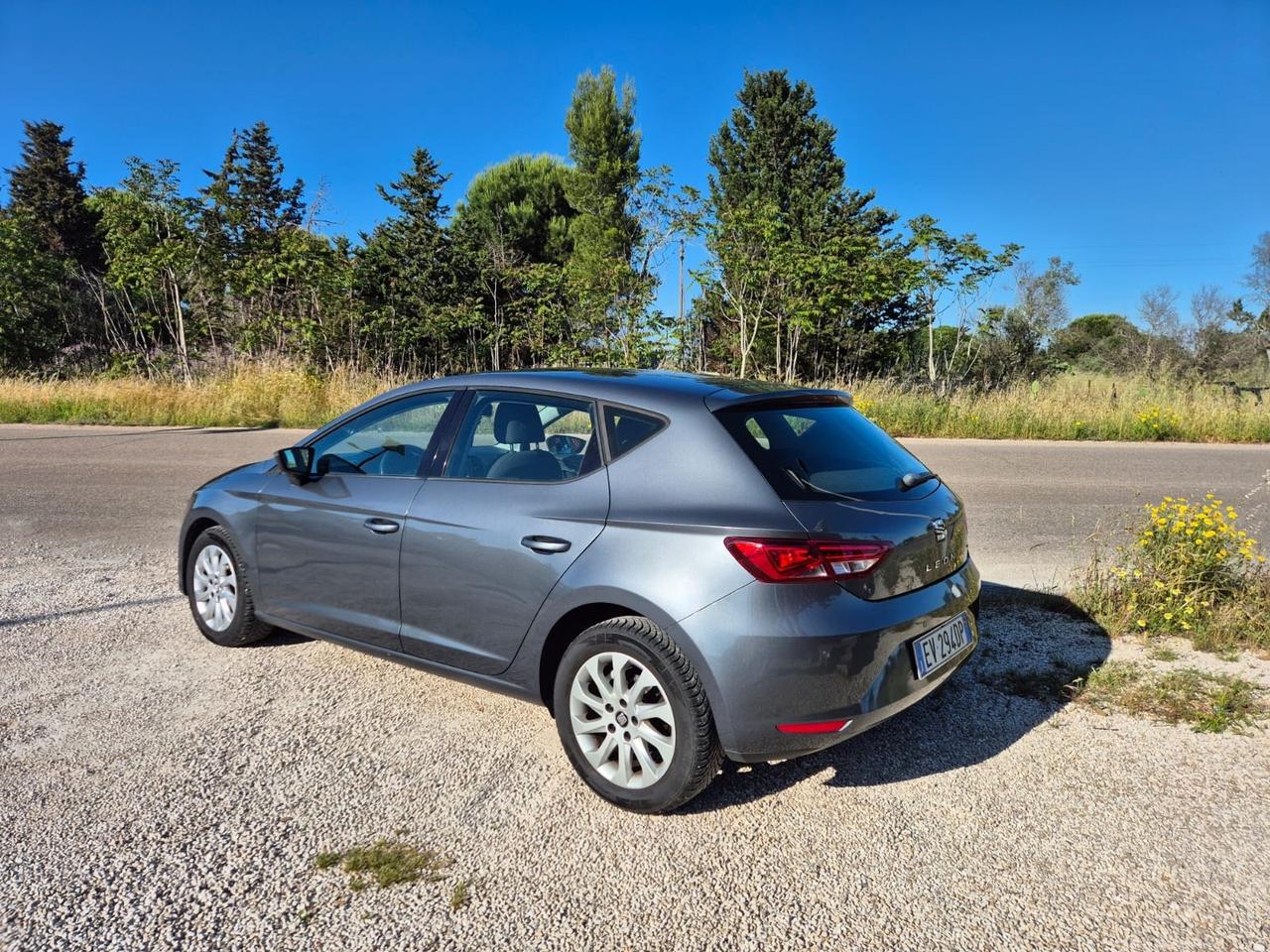 Seat Leon 1.6 TDI 105 CV Berlina Xenon