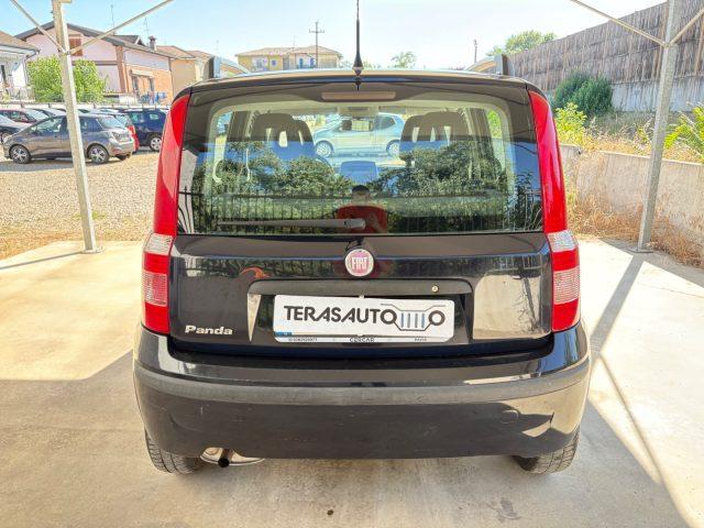 FIAT Panda 1.2 Dynamic OK NEOPATENTATI PRONTA CONSEGNA
