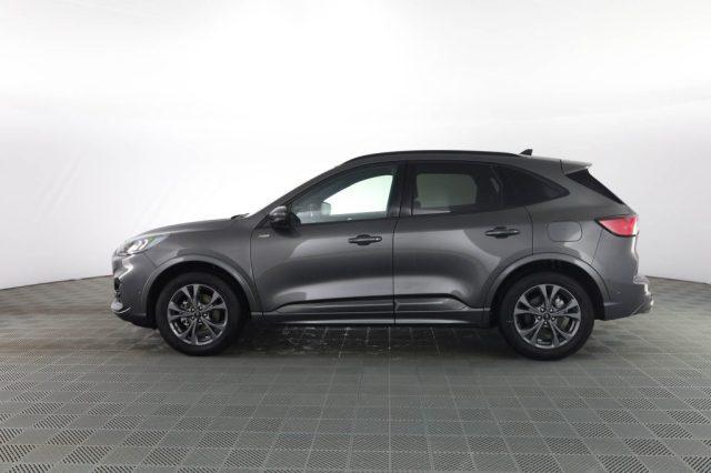 FORD Kuga Kuga 2.0 EcoBlue 120CV aut. AWD ST-Line X