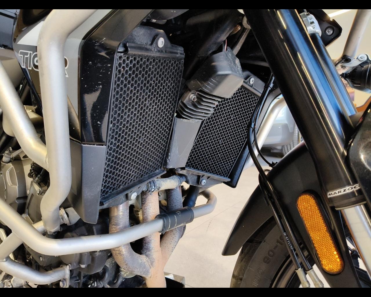 TRIUMPH Tiger 900 - GT Pro