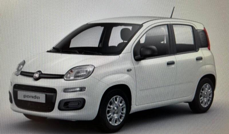 FIAT Panda 3ª serie Panda 1.0 FireFly S&S Hybr...