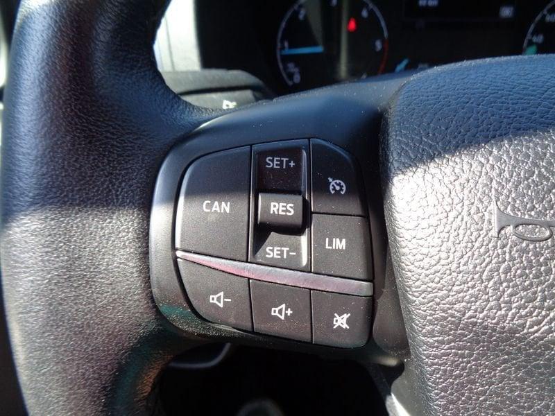 Ford Tourneo Custom Tourneo Custom 310 2.0 TDCi 170CV PL Titanium
