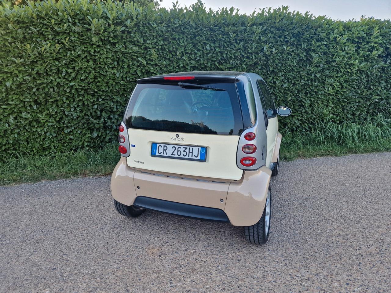 Smart ForTwo 700 45kw