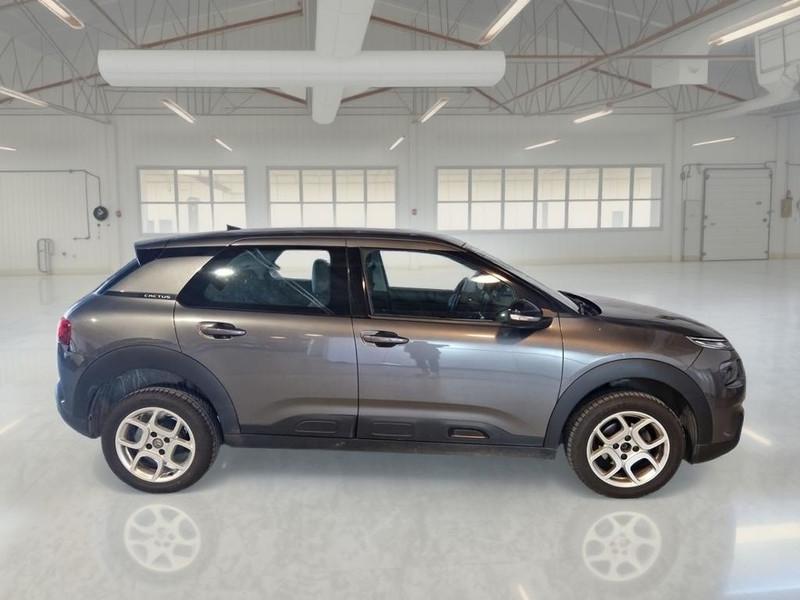 CITROEN C4 CACTUS 1.5 bluehdi Shine s/s 100cv