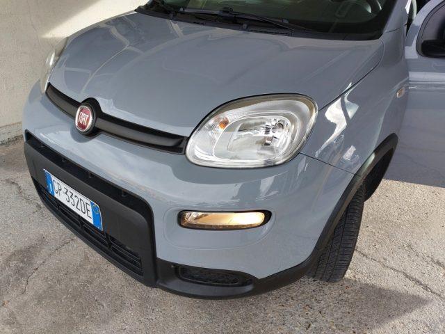 FIAT Panda 1.0 FireFly S&S Hybrid Uniprò km 77000 Fatturab.