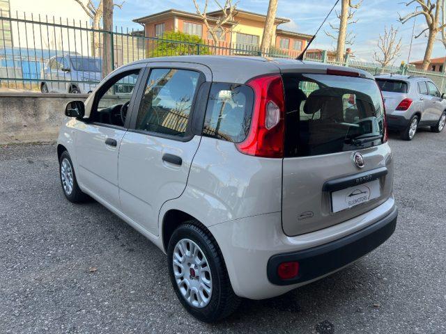 FIAT Panda 1.2 NEOPATENTATI 5 POSTI