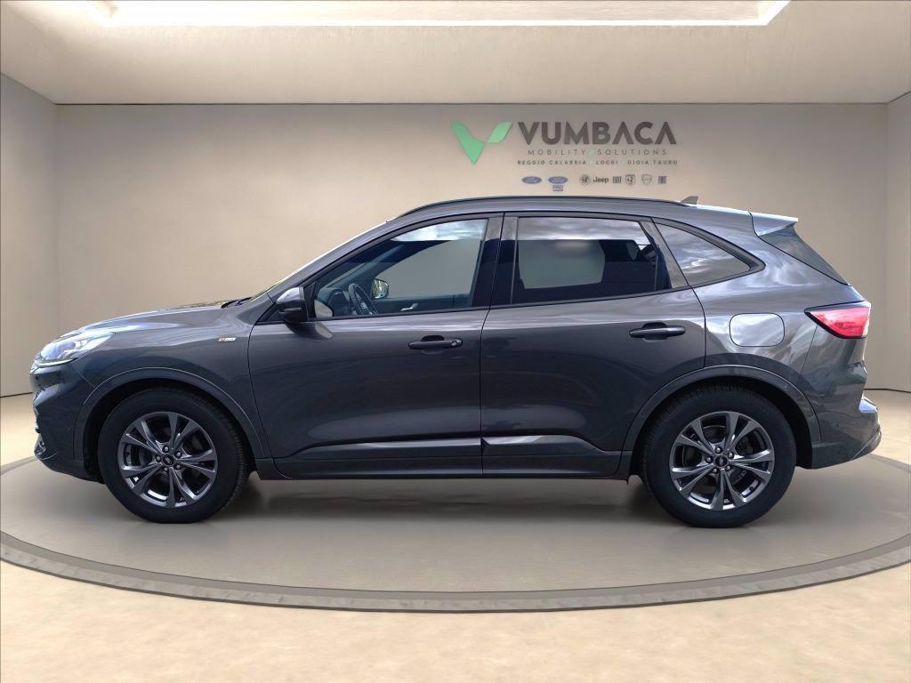 FORD Kuga 1.5 ecoblue ST-Line X 2wd 120cv auto del 2020