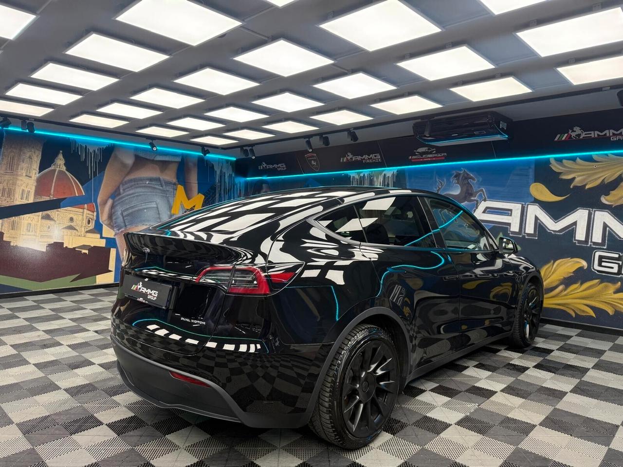 Tesla Model Y Long Range AWD (629)