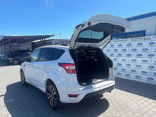 Ford Kuga 1.5 TDCI 120 CV S&S 2WD ST-Line