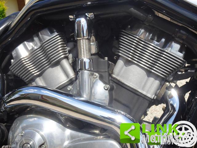 HARLEY-DAVIDSON V-Rod VRSCB