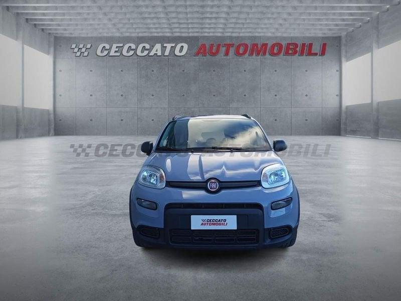 FIAT Panda Panda 1.0 firefly hybrid City Life s&s 70cv 5p.ti