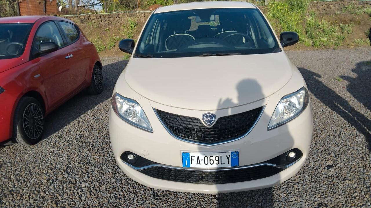 Lancia Ypsilon 1.3 MJT 16V 95 CV 5 porte S&S Gold
