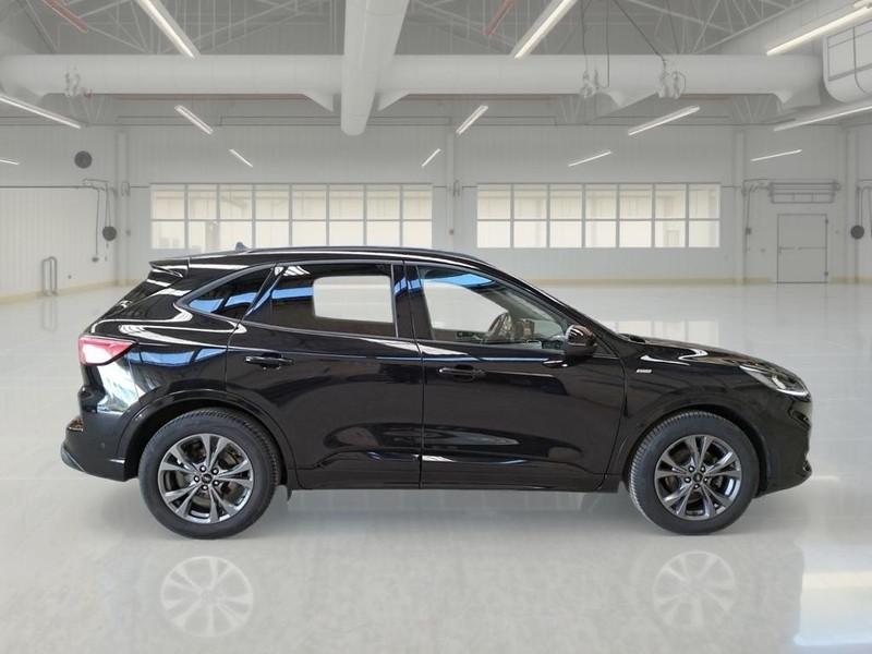 FORD KUGA 1.5 EcoBlue 120CV 2WD ST-Line Auto