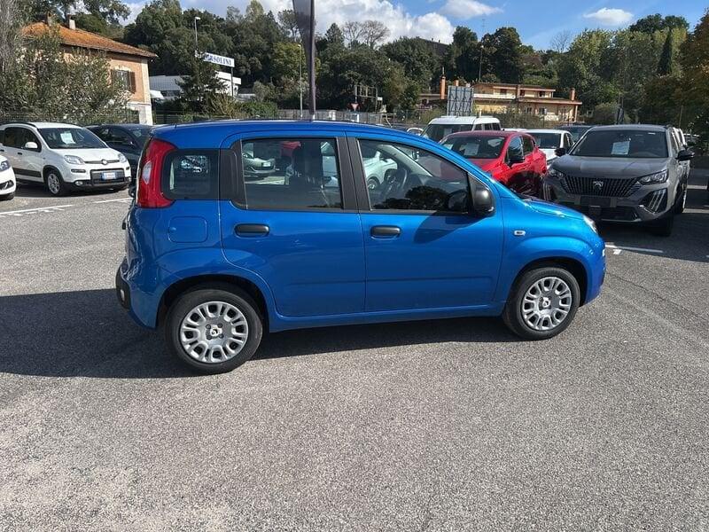 FIAT Panda New 1.0 70cv Hybrid Pop