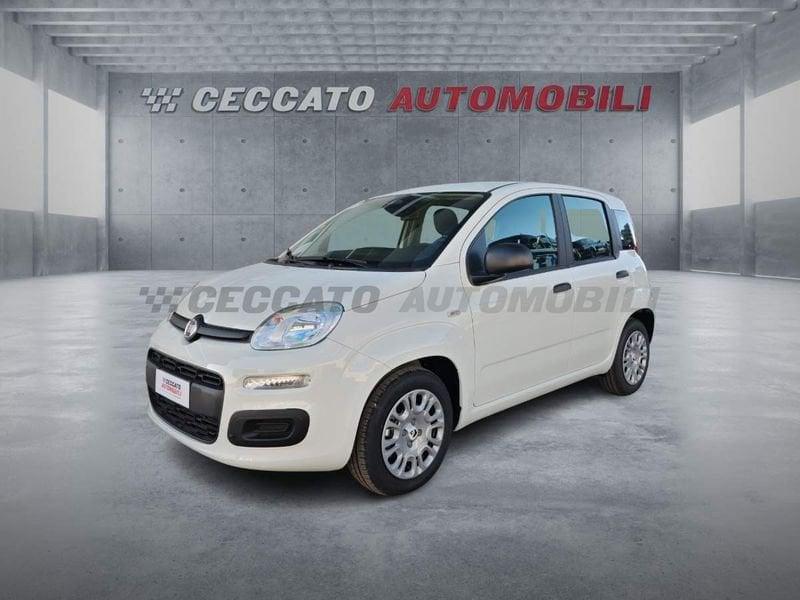 FIAT Panda Panda 1.0 70cv Hybrid Icon