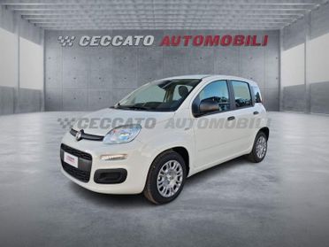 FIAT Panda Panda 1.0 70cv Hybrid Icon
