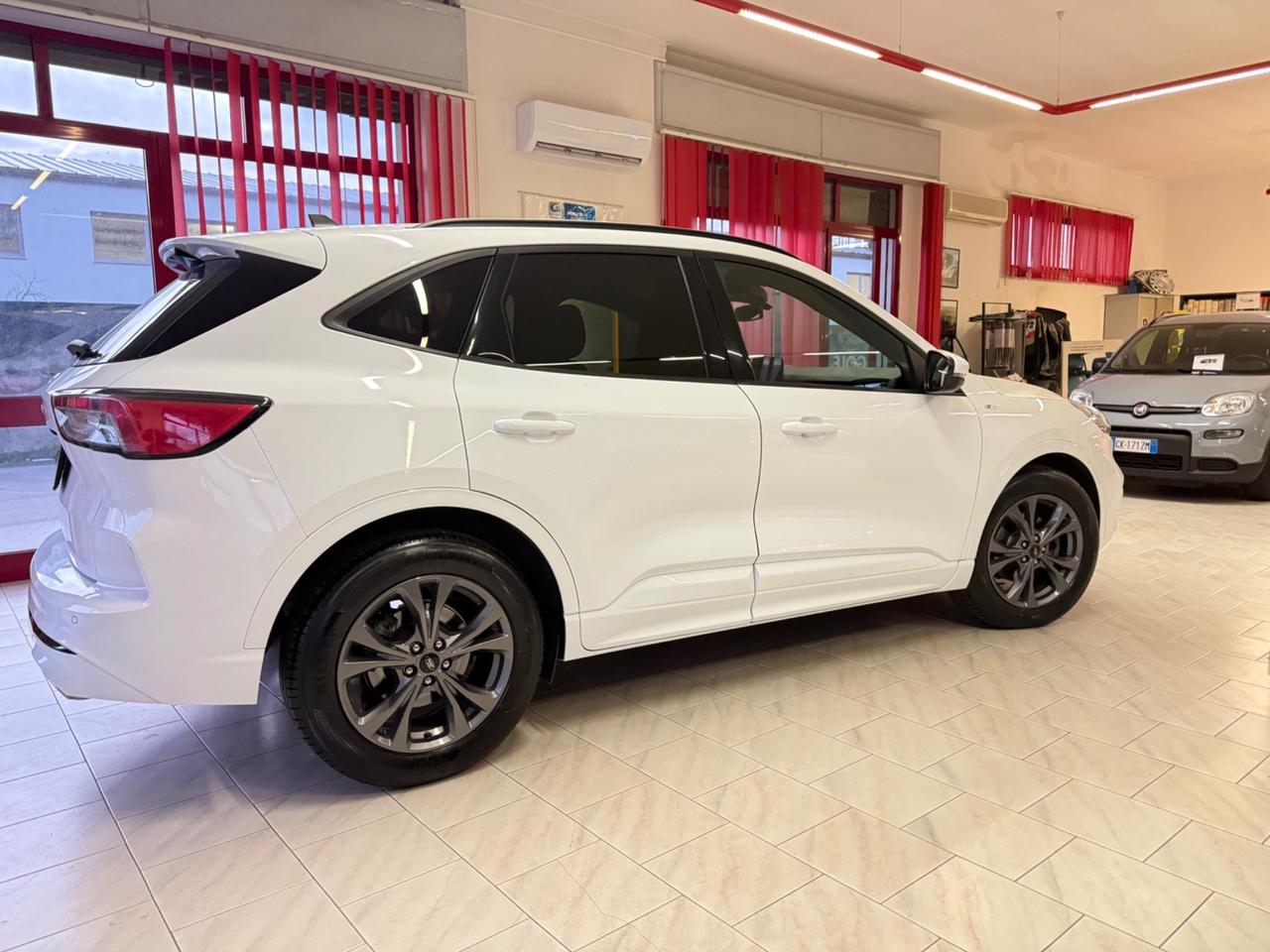 Ford Kuga 1.5 EcoBlue 120 CV aut. 2WD ST-Line X