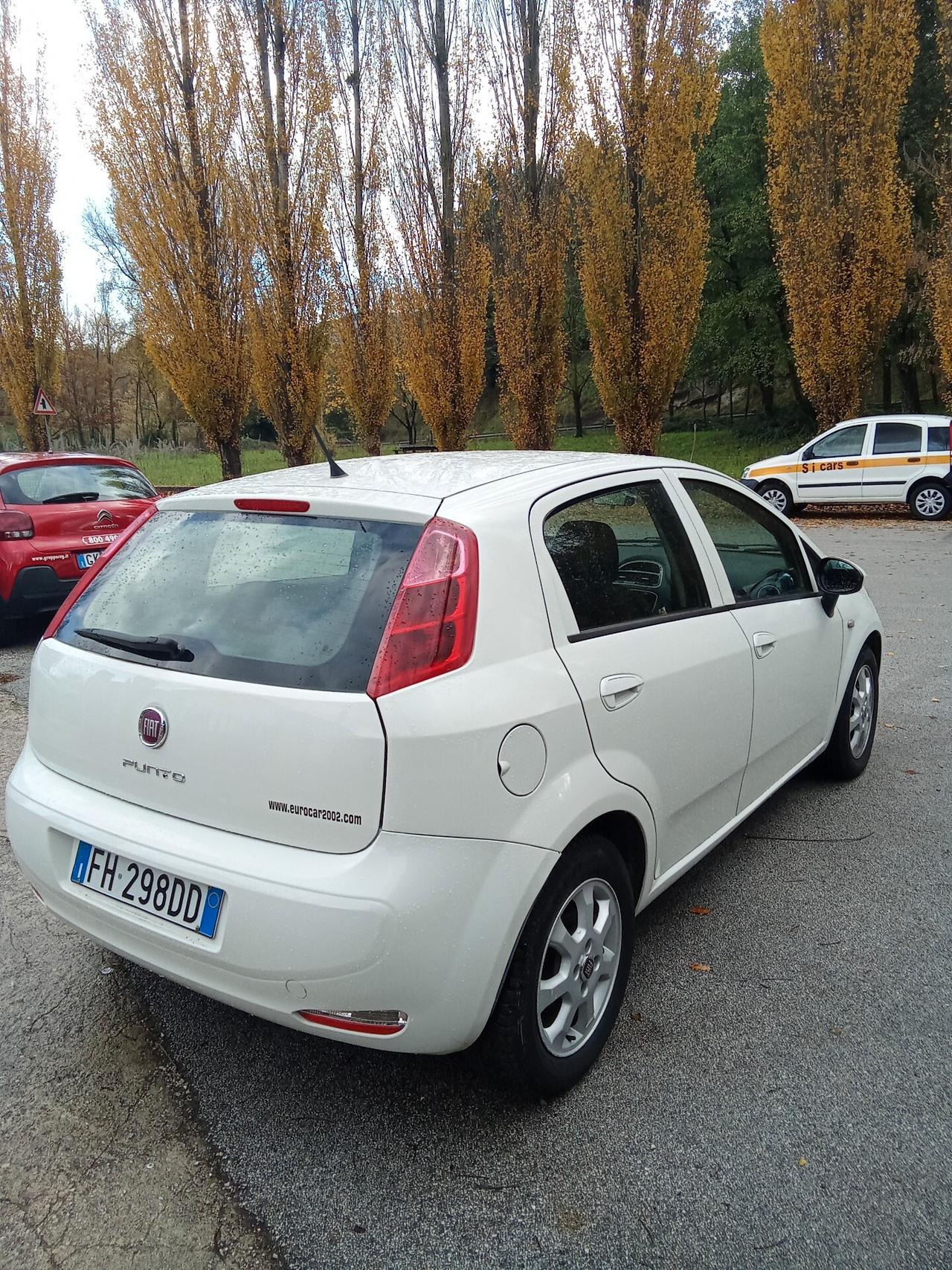 Fiat Punto 1.3 MJT 80cc Van Easy 4 posti 017