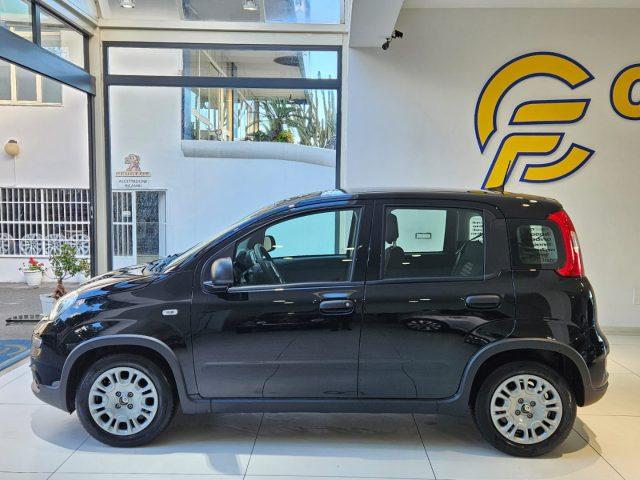 FIAT Panda 1.0 FireFly S&S Hybrid Pandina da ?149,00 mensili