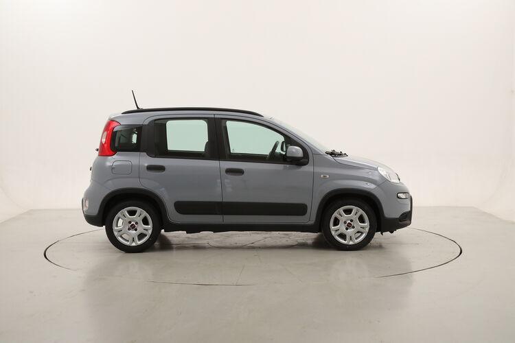 Fiat Panda Hybrid City Life BR516454 1.0 Mild Hybrid 70CV
