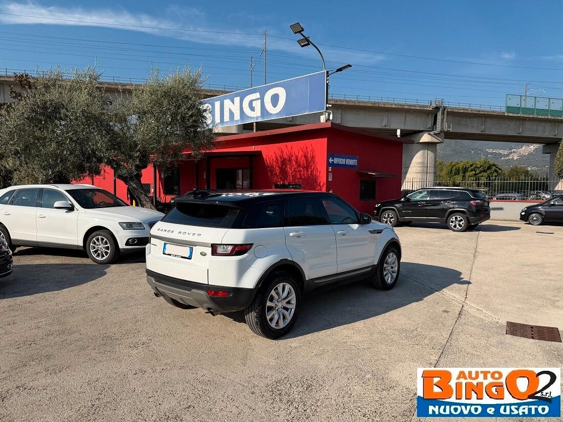 Land Rover Range Evoque 2.0 TD4 150 CV 5p. Business Edition SE