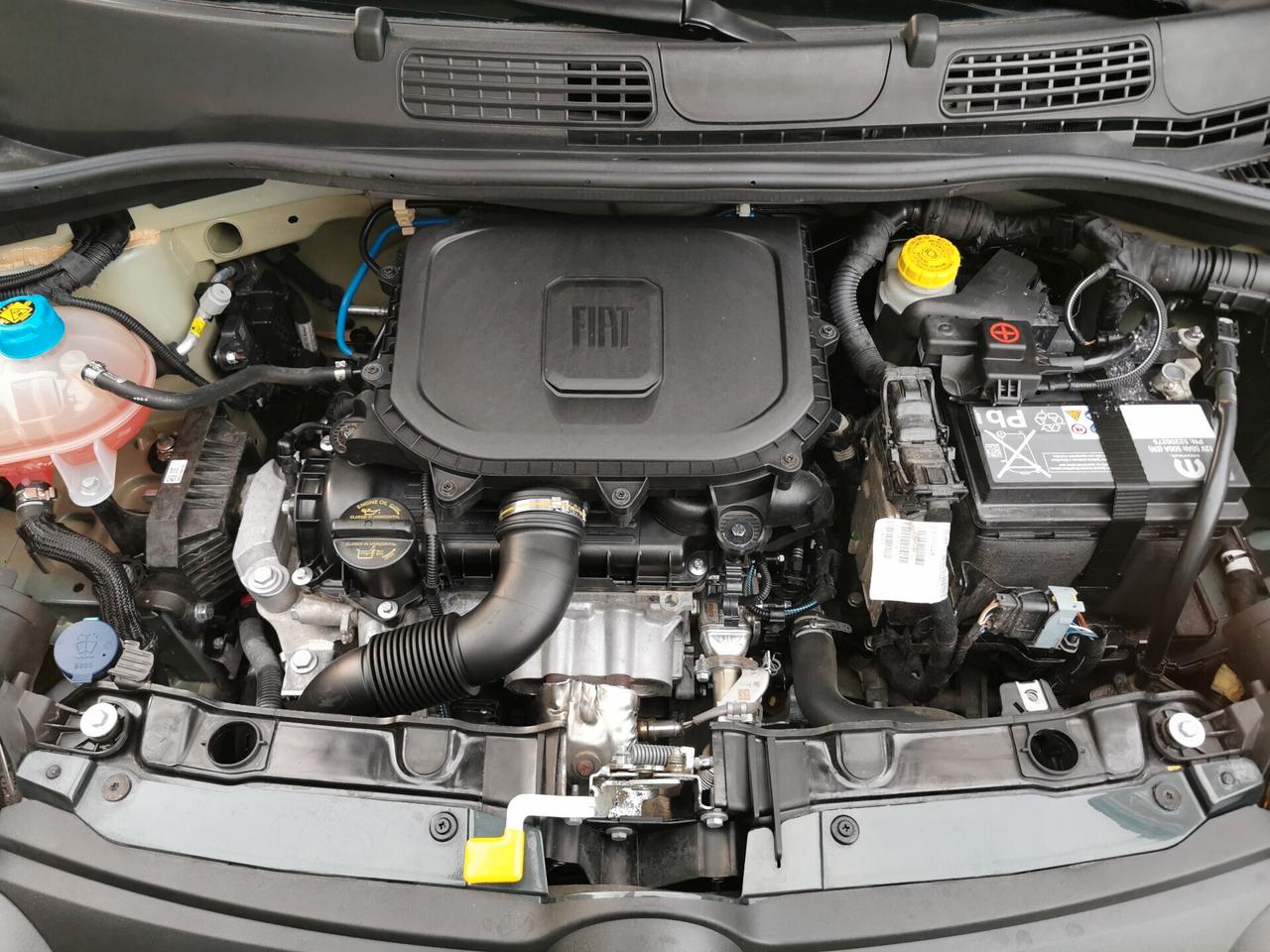 Fiat Panda 1.0 FireFly 70cv S&S Hybrid City Cross