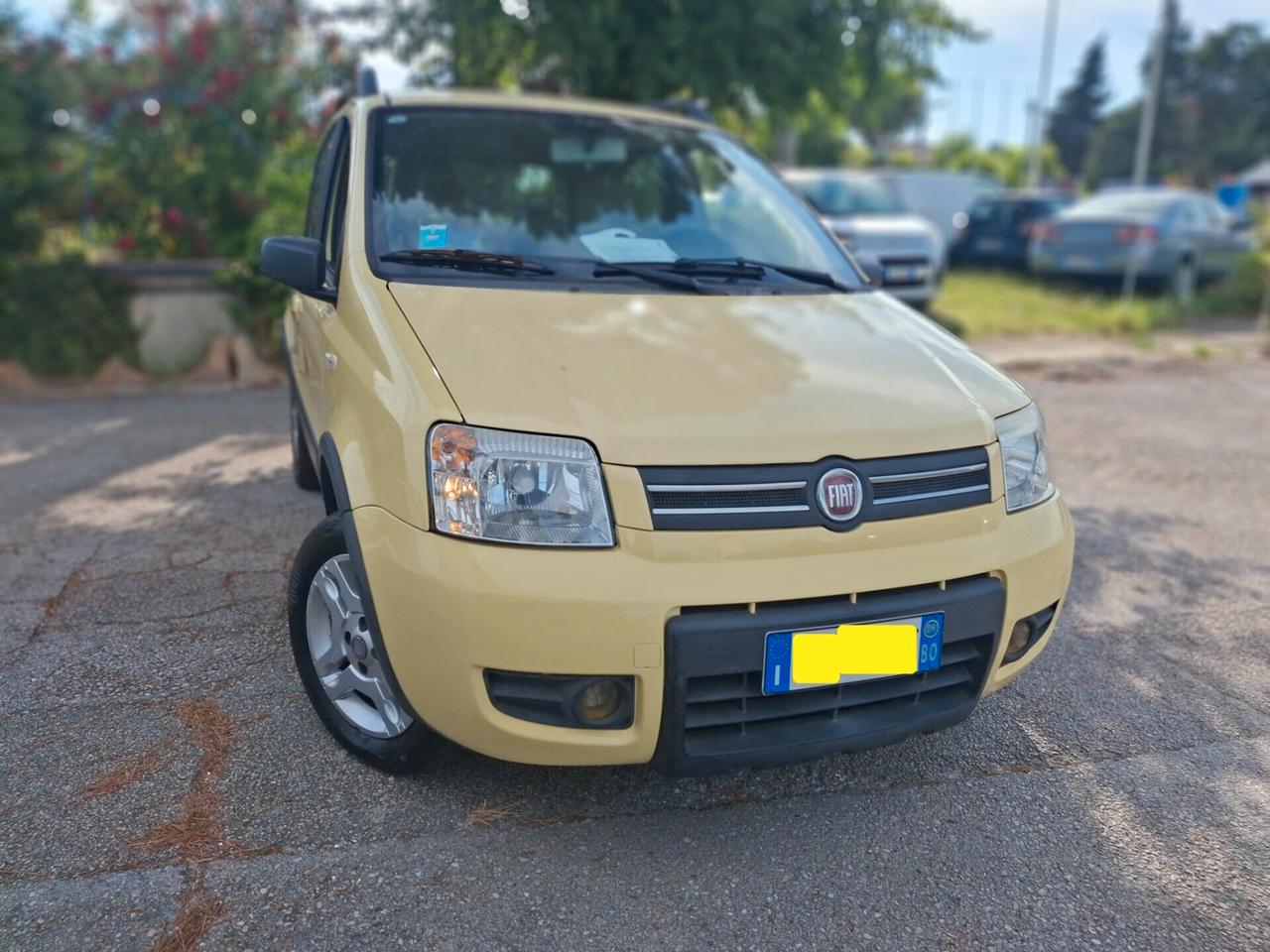 Fiat Panda 1.2 Climbing Natural Power