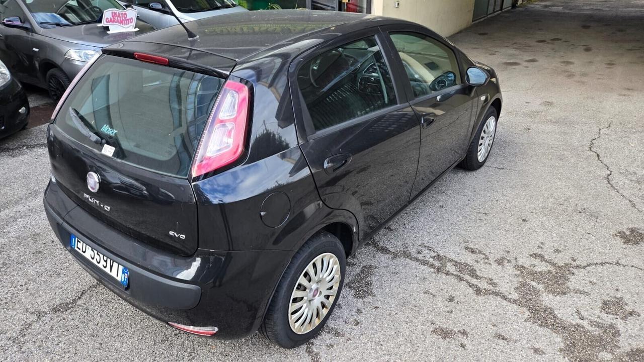 Fiat Punto Evo Punto Evo 1.4 5 porte Dynamic