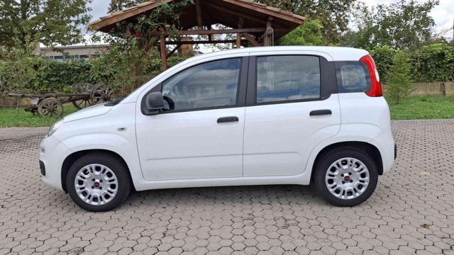 FIAT Panda 1.2 BENZINA ANNO 2015