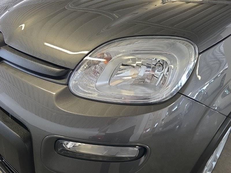 FIAT Panda 3ª serie 1.0 FireFly S&S Hybrid