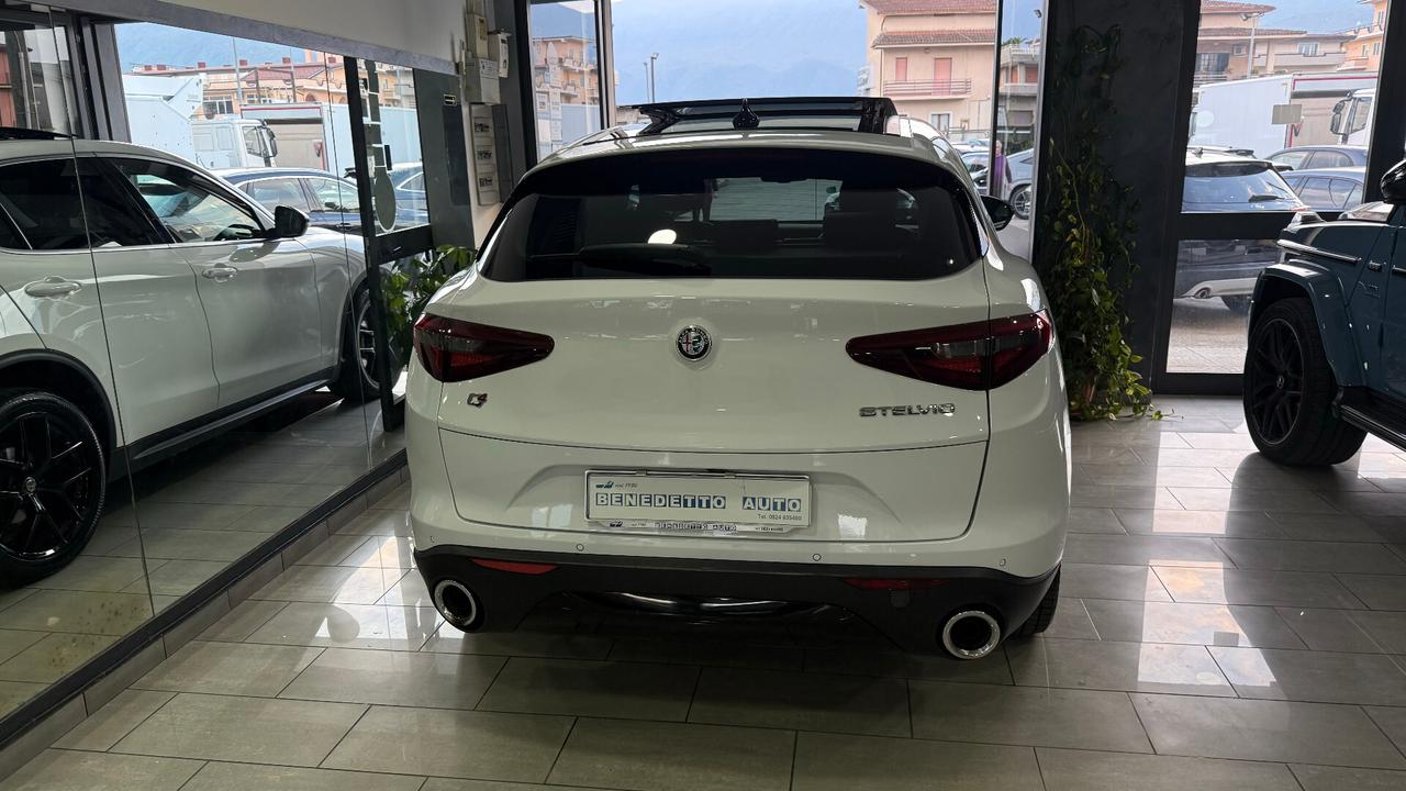 Alfa Romeo Stelvio 2.2 210 CV TETTO-CERCHIO 20