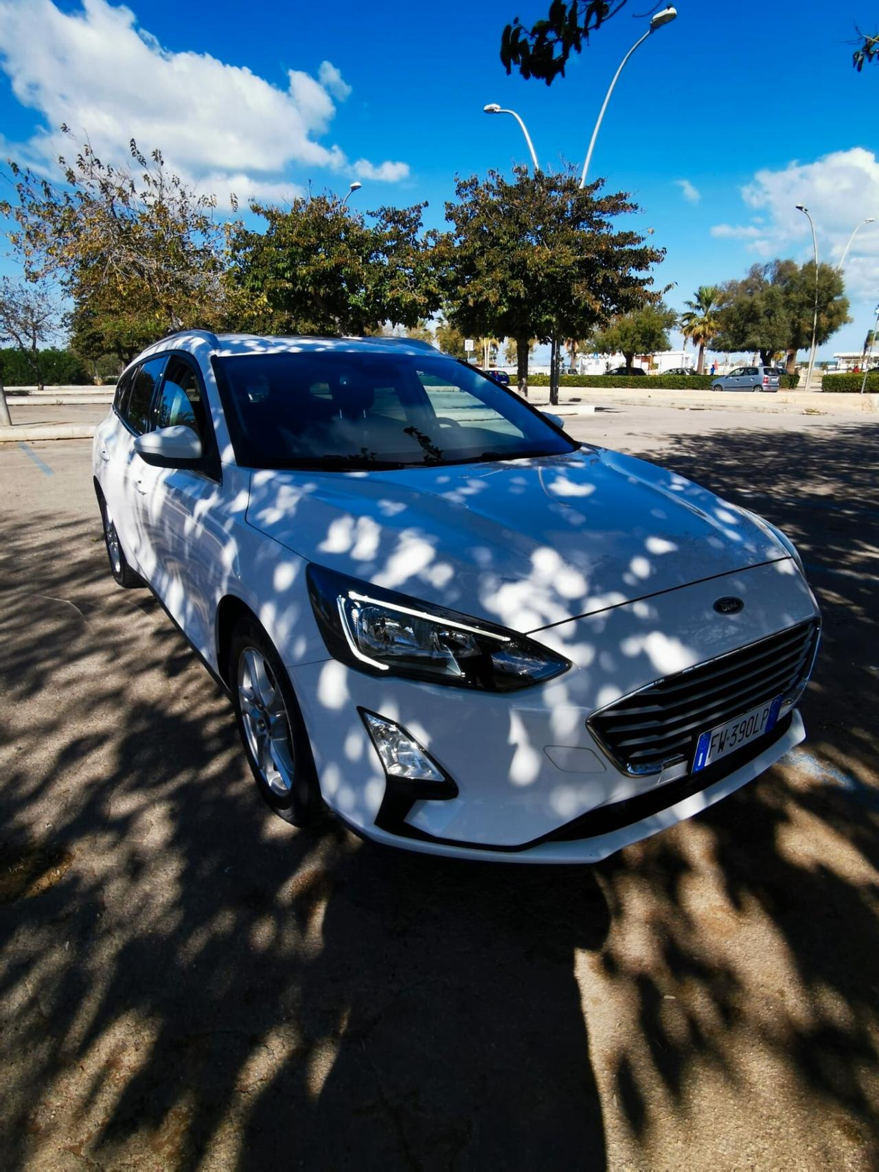 Ford Focus 1.5 EcoBlue 120 CV SW Business 2019