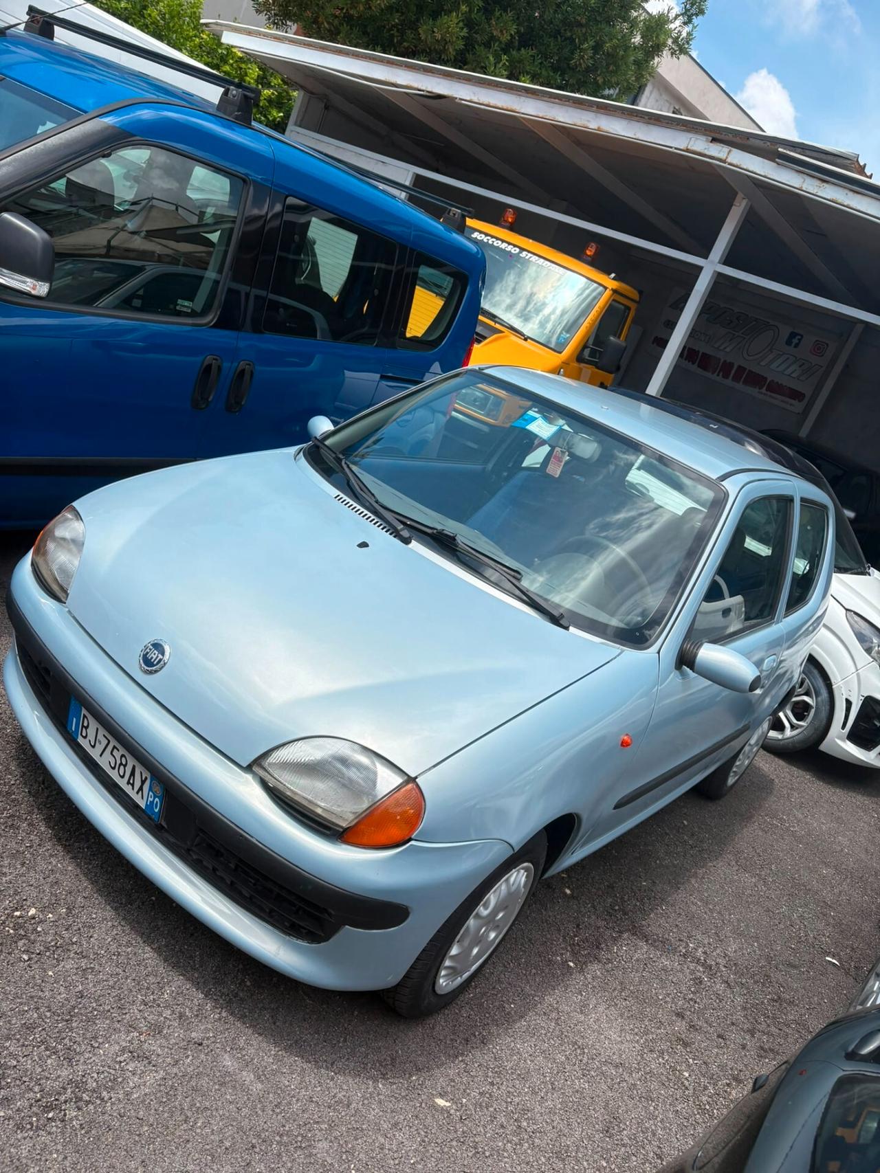 Fiat Seicento 900i cat Young