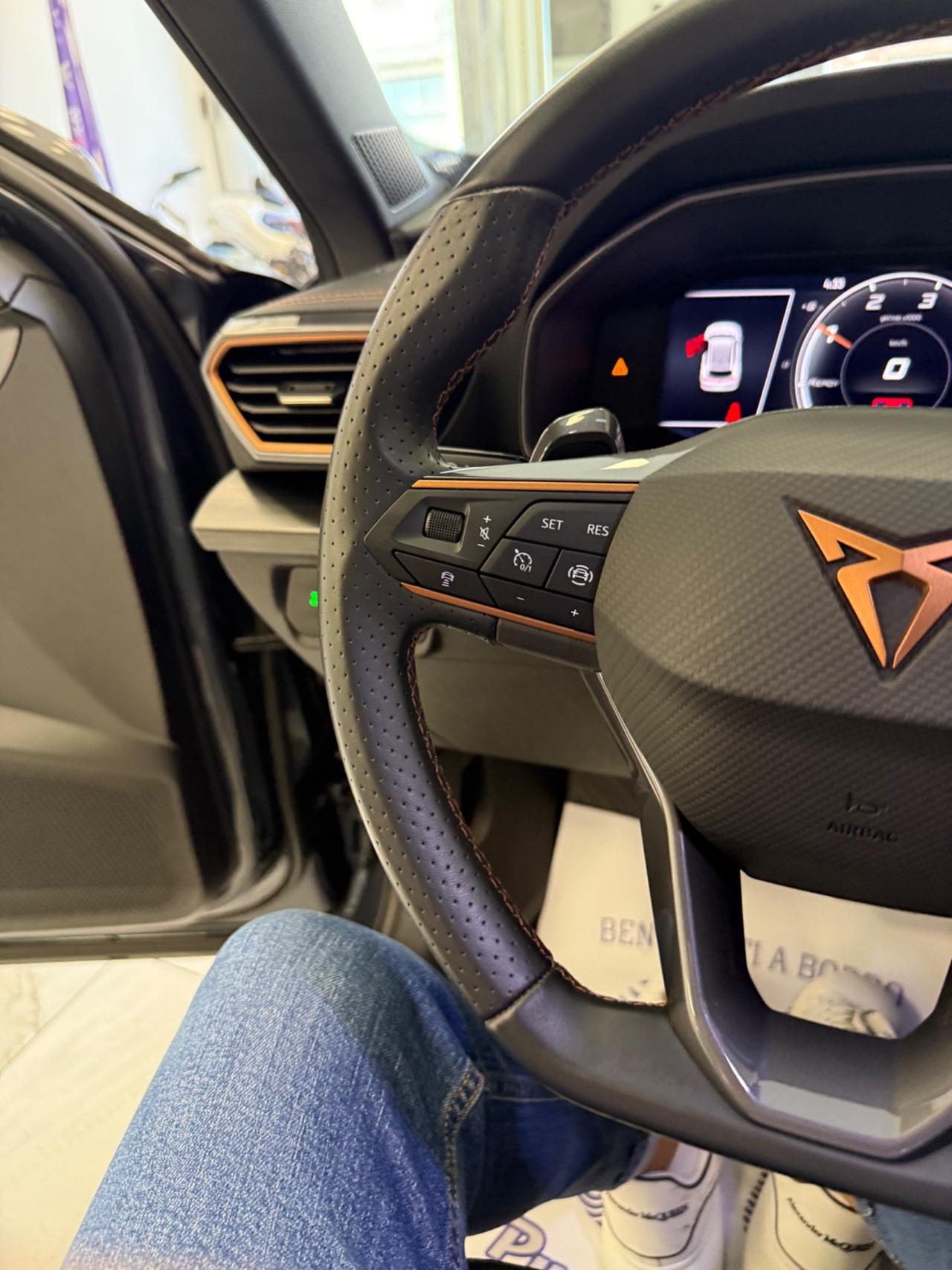Cupra Formentor 2.0 TDI 4Drive DSG