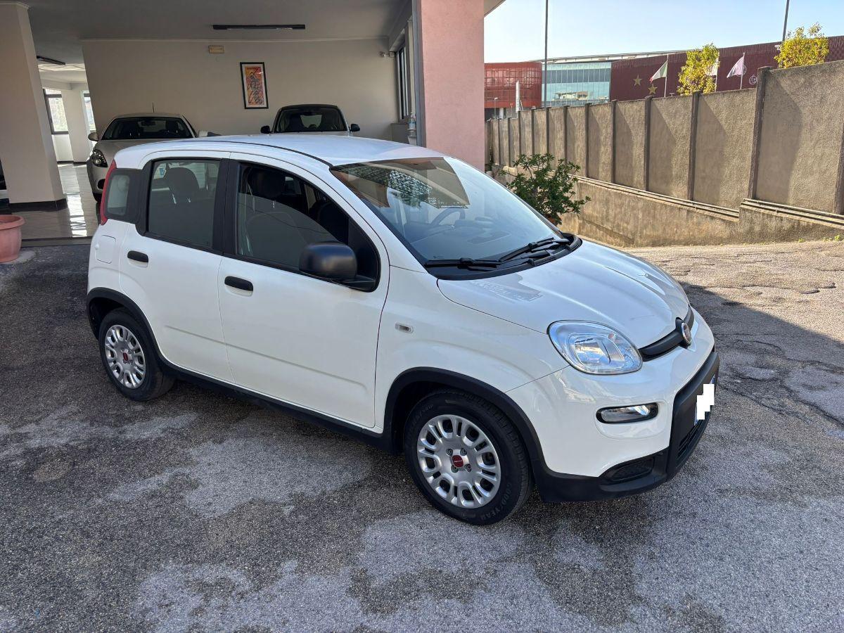 FIAT Panda 1.0 FireFly S&S Hybrid City Life 5 Posti