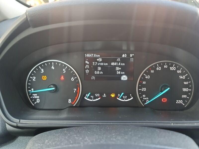 Ford EcoSport 1.0 EcoBoost 100 CV Business