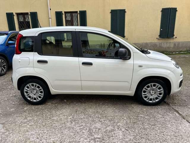 Fiat Panda Pandina 1.0 firefly S&S hybrid - KM 0