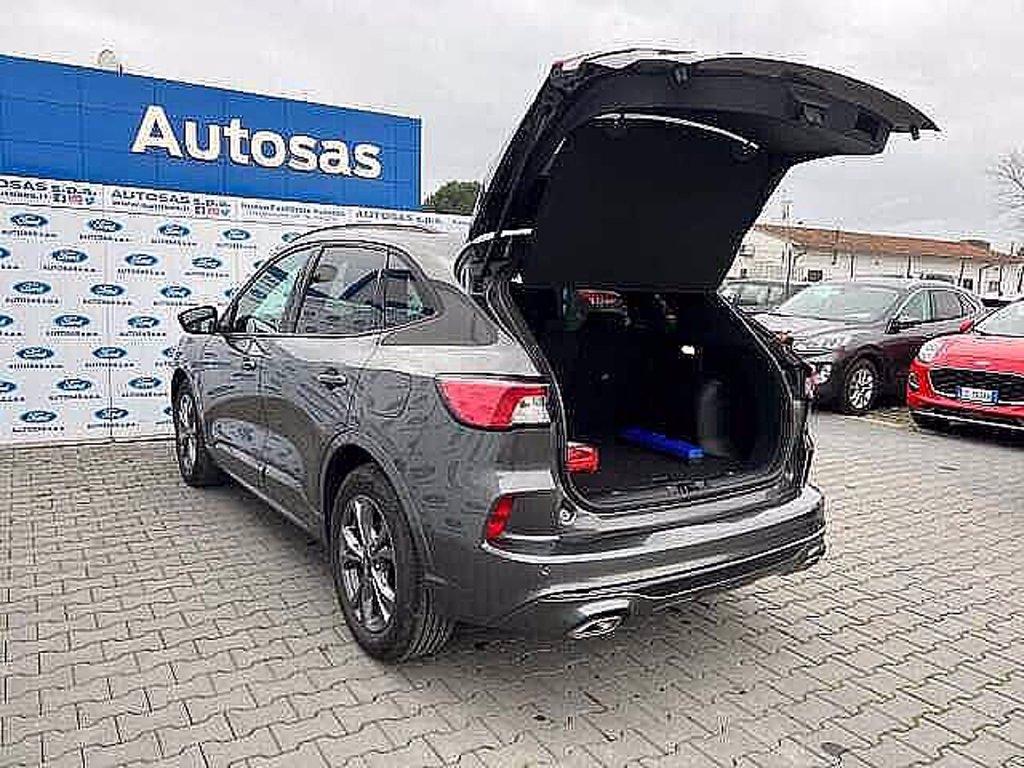 FORD Kuga 2.5 Full Hybrid 190 CV CVT 2WD ST-Line del 2023