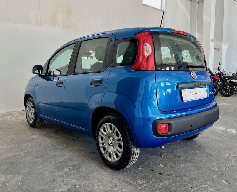 FIAT Panda Panda 1.0 FireFly S&S Hybrid