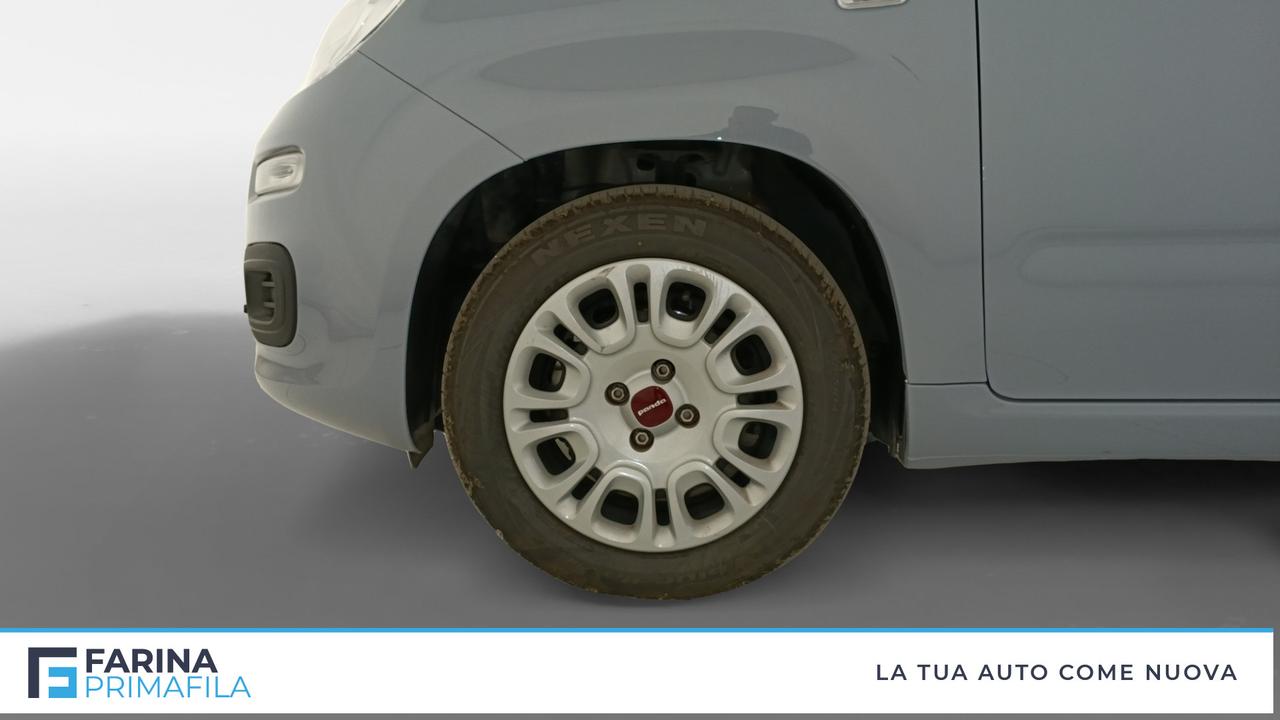 FIAT Panda III 2021 - Panda 1.0 firefly hybrid s&s 70cv