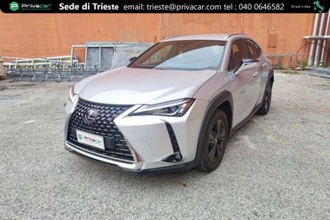 LEXUS UX Hybrid Executive