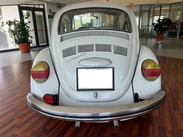 VOLKSWAGEN Maggiolone Maggiolino