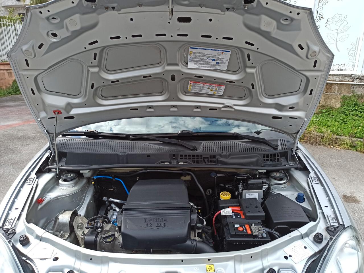 Lancia Ypsilon 1.2 8v Oro