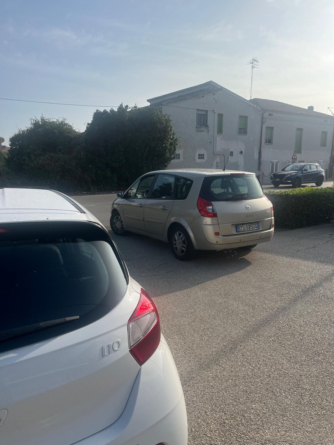 Renault Scenic Scénic 1.5 dCi/105CV Conquest